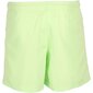 Lühikesed ujumispüksid Reebok Bw Basic Boxer Green цена и информация | Ujumispüksid, shortsid | kaup24.ee