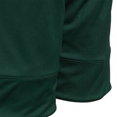 Lühikesed korvpallipüksid teismelistele Adidas 3G SpeeRev Shr Green White hind ja info | Poiste lühikesed püksid | kaup24.ee
