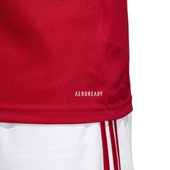 Футбольная майка Adidas Squad 17 Jsy SS Red цена и информация | Мужские футболки | kaup24.ee