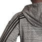 Dressipluus Adidas W Mh Hth Fz Hd Grey цена и информация | Naiste pusad | kaup24.ee