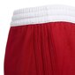 Lühikesed püksid teismelistele Adidas 3G Spee Rev Shr Red White hind ja info | Poiste lühikesed püksid | kaup24.ee