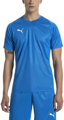 Футбольная майка Puma Liga Jersey Core Blue цена и информация | Meeste T-särgid | kaup24.ee