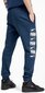 Püksid Puma Rebel Bold Pants Blue hind ja info | Meeste spordiriided | kaup24.ee