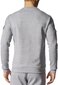 Dressipluus Adidas ID Stadium Crewneck Grey цена и информация | Meeste pusad | kaup24.ee