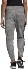 Püksid Adidas W Mh Hth Pant Grey hind ja info | Naiste spordiriided | kaup24.ee