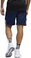 Lühikesed korvpallipüksid Adidas 3G Spee Rev Shorts Blue White hind ja info | Meeste spordiriided | kaup24.ee