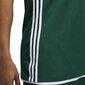 Korvpalli T-särk Adidas 3G Spee Rev Jrs Green White hind ja info | Meeste T-särgid | kaup24.ee