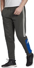 Штаны Adidas M Sid Pnt Brand Chaki Blue цена и информация | Мужская спортивная одежда | kaup24.ee