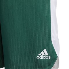Баскетбольные шорты для подростков Adidas Y Rev Crzy Ex S Green White цена и информация | Шорты для мальчиков | kaup24.ee