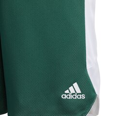 Lühikesed korvpallipüksid teismelistele Adidas Y Rev Crzy Ex S Green White цена и информация | Шорты для мальчиков | kaup24.ee