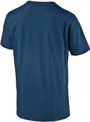 Puma Футболка Power Block Dry Tee Blue цена и информация | Мужские футболки | kaup24.ee