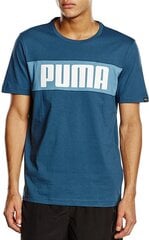 Puma Футболка Power Block Dry Tee Blue цена и информация | Мужские футболки | kaup24.ee