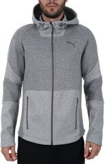 Meeste Dressipluus Puma Evostripe Move Hooded Jacke Pilka S hind ja info | Meeste pusad | kaup24.ee