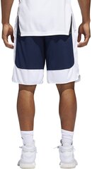 Баскетбольные шорты Adidas Rev Crzy Ex Navy White цена и информация | Мужская спортивная одежда | kaup24.ee