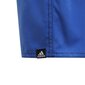 Lühikesed ujumispüksid teismelistele Adidas Yb Cb Shorts Sl Black Blue Orange цена и информация | Poiste ujumispüksid | kaup24.ee