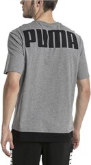 Футболка Puma Rebel Tee Grey Black цена и информация | Meeste T-särgid | kaup24.ee