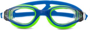 Очки для плавания Aqua Speed Ceto, синие/зеленые цена и информация | Очки для плавания | kaup24.ee