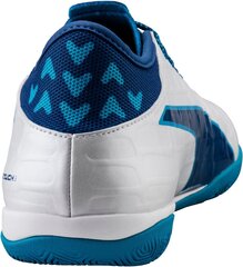 Puma Обувь Evotouch 3 IT White Blue цена и информация | Кроссовки для мужчин | kaup24.ee