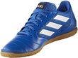 Jalanõud Adidas ACE 17.4 SALA Blue цена и информация | Spordi- ja vabaajajalatsid meestele | kaup24.ee