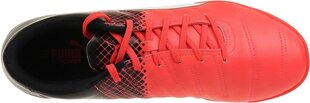 Puma Обувь Evopower 4.3 IT Red Black цена и информация | Мужские ботинки | kaup24.ee