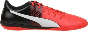 Puma Обувь Evopower 4.3 IT Red Black цена и информация | Мужские ботинки | kaup24.ee