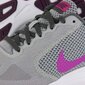 Jalanõud Nike WMNS Revolution 3 Grey Pink hind ja info | Naiste spordi- ja vabaajajalatsid | kaup24.ee