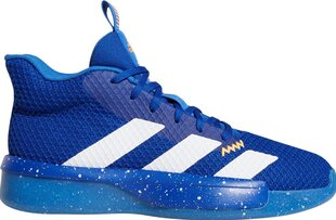 Adidas Обувь Pro Next 2019 Blue цена и информация | Кроссовки для мужчин | kaup24.ee