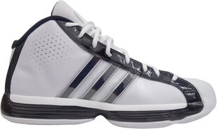 Jalanõud Adidas Pro Model BASKETBALL hind ja info | Spordi- ja vabaajajalatsid meestele | kaup24.ee