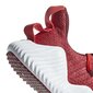 Jalanõud Adidas AlphaBounce Trainer Red цена и информация | Spordi- ja vabaajajalatsid meestele | kaup24.ee