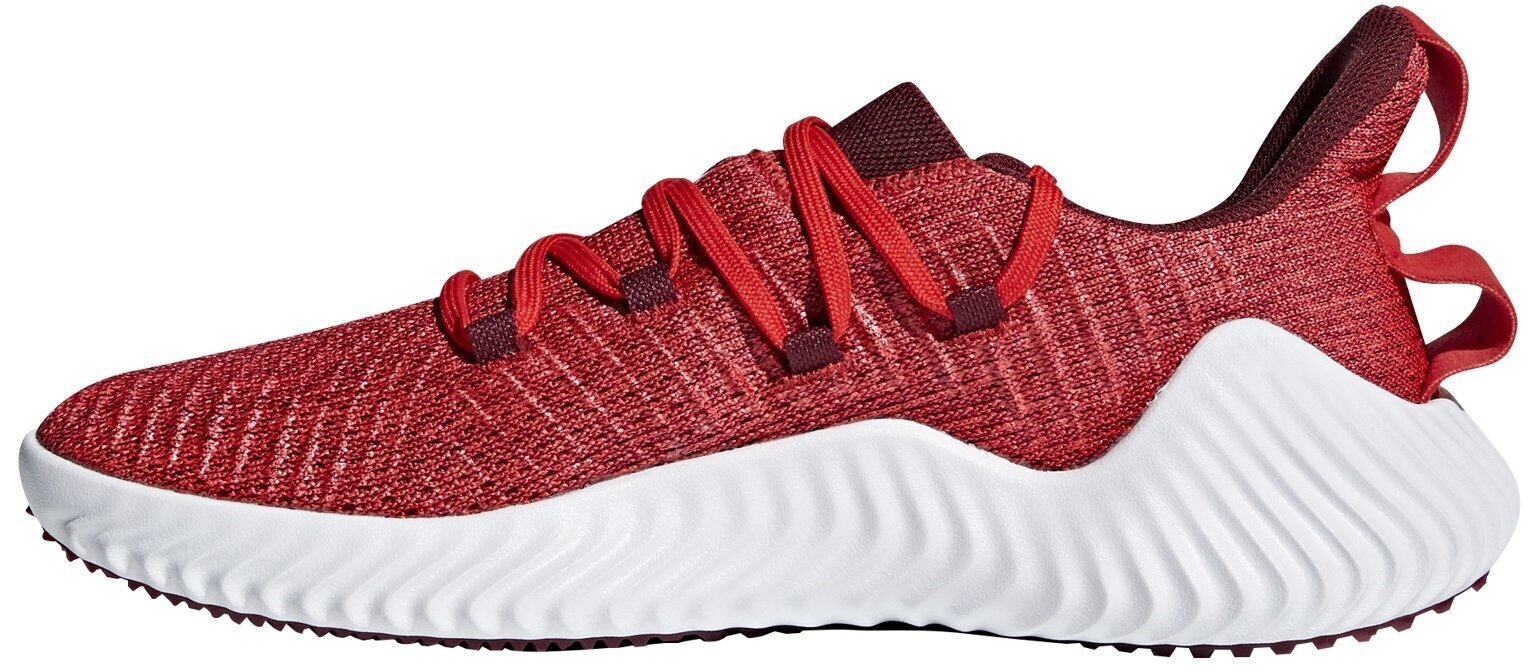 Jalanõud Adidas AlphaBounce Trainer Red hind ja info | Spordi- ja vabaajajalatsid meestele | kaup24.ee