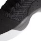 Jalanõud Adidas Pro Adversary Low 2 Black hind ja info | Spordi- ja vabaajajalatsid meestele | kaup24.ee