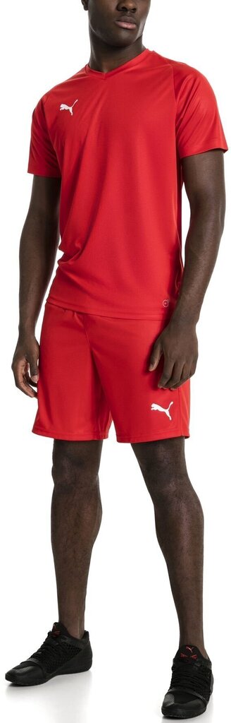 Jalgpalli T-särk Puma Liga Jersey Core Red цена и информация | Meeste T-särgid | kaup24.ee