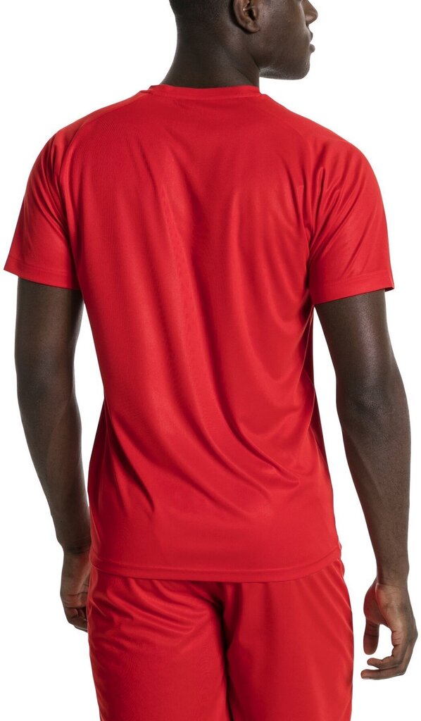 Jalgpalli T-särk Puma Liga Jersey Core Red цена и информация | Meeste T-särgid | kaup24.ee