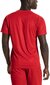 Jalgpalli T-särk Puma Liga Jersey Core Red цена и информация | Meeste T-särgid | kaup24.ee