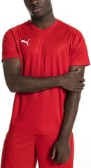 Jalgpalli T-särk Puma Liga Jersey Core Red hind ja info | Meeste T-särgid | kaup24.ee