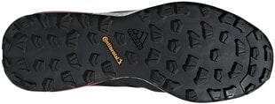 Adidas Обувь Terrex Agravic Black Red цена и информация | Кроссовки для мужчин | kaup24.ee