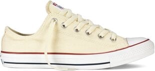 Converse Кроссовки Chuck Taylor All Star OX Creamy цена и информация | Кроссовки для мужчин | kaup24.ee