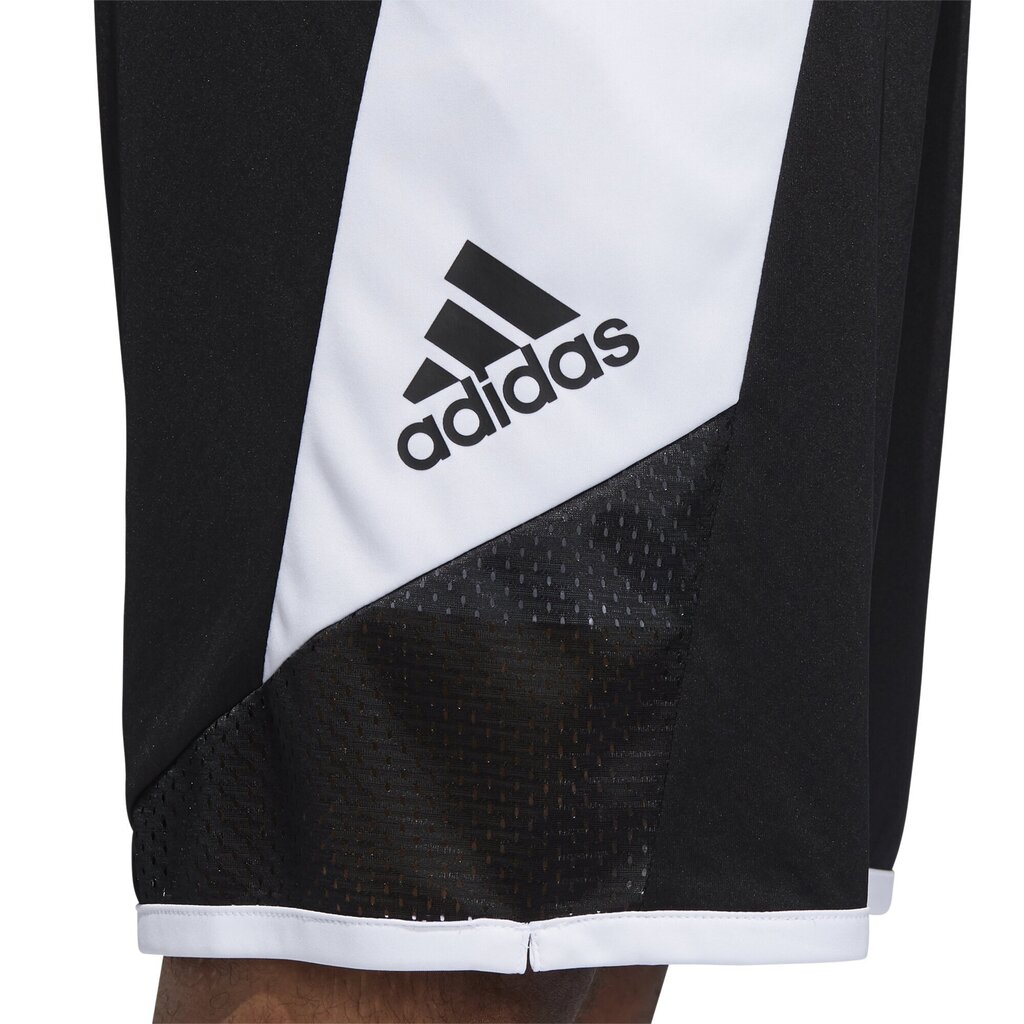 Lühikesed korvpallipüksid Adidas Pro madness Shr Black White цена и информация | Meeste lühikesed püksid | kaup24.ee