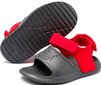 Sandaalid lastele Puma Divecat V2 Injex Inf Grey Red цена и информация | Laste sandaalid | kaup24.ee