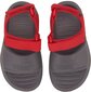 Sandaalid lastele Puma Divecat V2 Injex Inf Grey Red цена и информация | Laste sandaalid | kaup24.ee