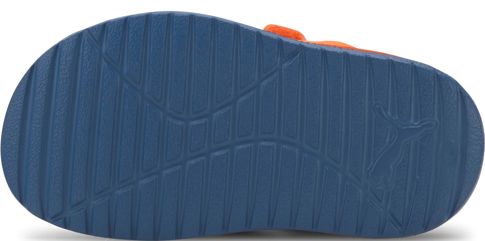 Sandaalid lastele Puma Divecat V2 Injex Inf Blue Orange цена и информация | Laste sandaalid | kaup24.ee