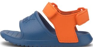 Sandaalid lastele Puma Divecat V2 Injex Inf Blue Orange цена и информация | Детские сандали | kaup24.ee