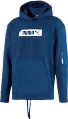 Dressipluus Puma NU - Tility Hoody Blue цена и информация | Мужские толстовки | kaup24.ee