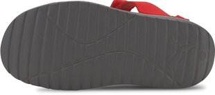 Puma Детские сандалии Divecat V2 Injex Grey Red цена и информация | Детские сандали | kaup24.ee