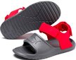 Sandaalid lastele Puma Divecat V2 Injex Grey Red hind ja info | Laste sandaalid | kaup24.ee