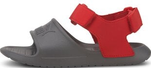 Sandaalid lastele Puma Divecat V2 Injex Grey Red цена и информация | Детские сандали | kaup24.ee