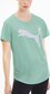 Pluus Puma Evostripe Tee Green цена и информация | Naiste spordiriided | kaup24.ee