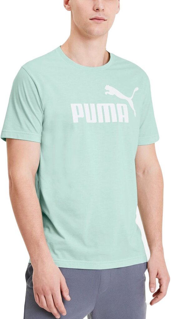 T-särk Puma Ess + Heather Tee Mist Green цена и информация | Meeste T-särgid | kaup24.ee