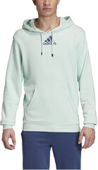 Adidas Джемпер cat Graph Hood Green цена и информация | Мужские толстовки | kaup24.ee