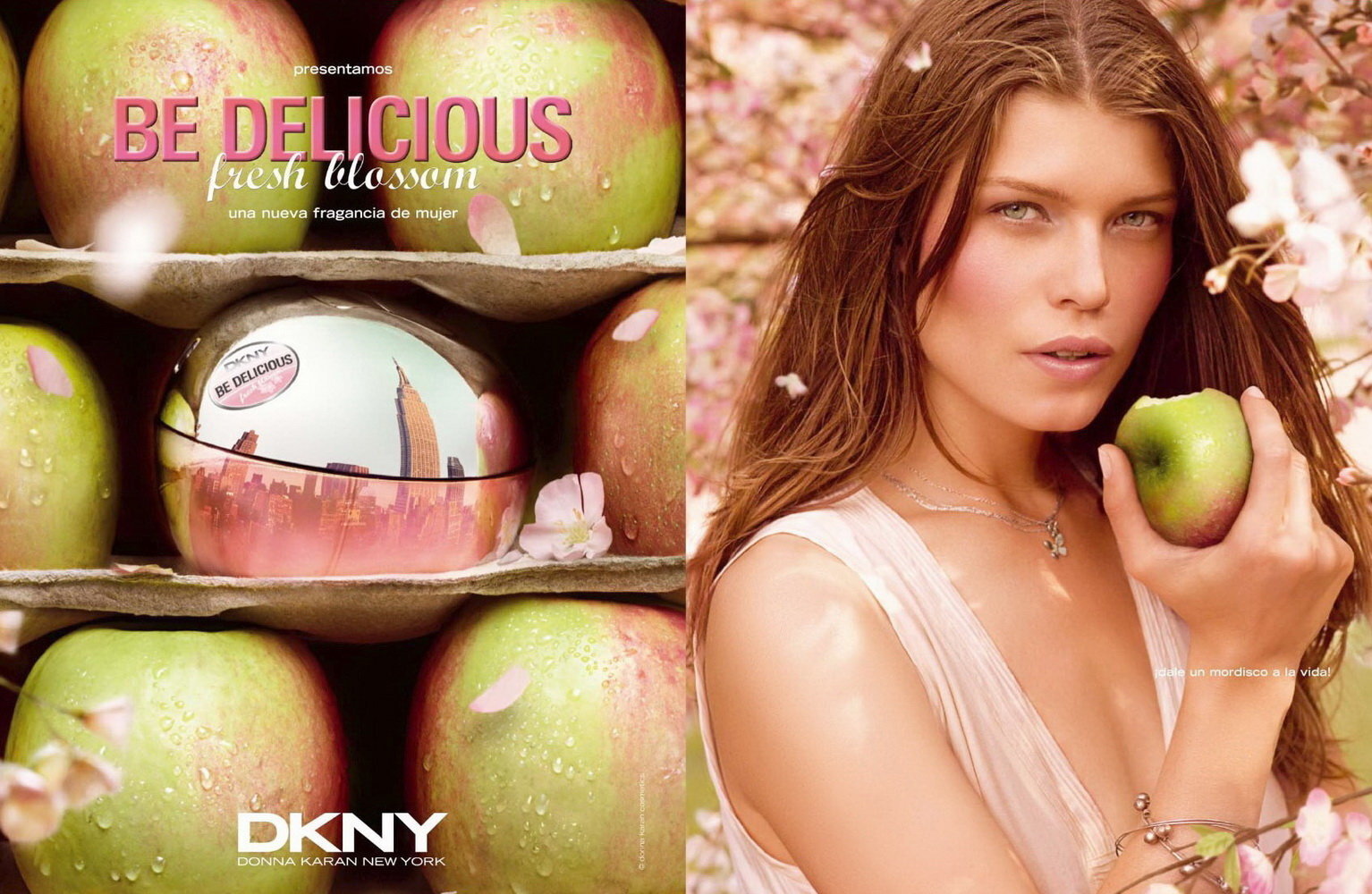 Parfüümvesi Donna Karan DKNY Be Delicious Fresh Blossom EDP naistele 50 ml hind ja info | Naiste parfüümid | kaup24.ee